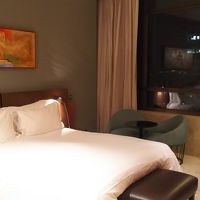 ダブルルームなので広め。