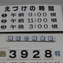ねらい目は朝9時の餌をまく時間です By あおし 瓢湖のクチコミ フォートラベル ねらい目は朝9時の餌をまく時間です By あおし 瓢湖のクチコミ フォートラベル