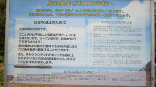 星の砂は海藻が付着した岩場の陰に・・・
