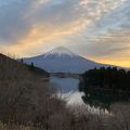 富士山を見に