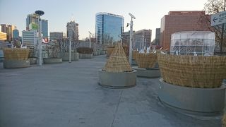 ソウル駅辺りの洒落た作りの遊歩道です