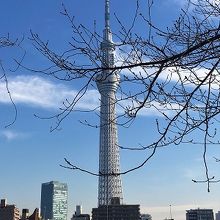 お天気も良かったので白がとてもきれいです。