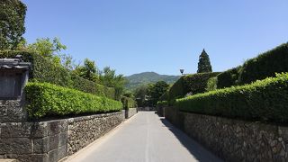 美しい風景に、ぼーっとできます。