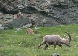 フランツ ヨーゼフ展望台