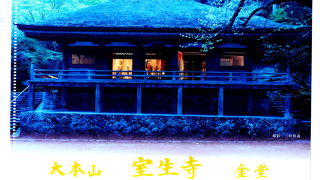 金堂の特別拝観400円　すてきなファイルをくれる