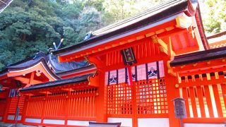 2019年１月　拝殿が修復工事中の今だけ、重要文化財の御本殿を間近に見る事が出来ます