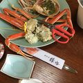 越前ガニを食べるのはお勧め。宿泊しても、周囲には海と温泉しかない。