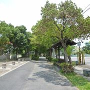 道の両側に木々が植えられた普通の散歩道