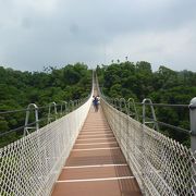 この吊り橋から見る自然の景色は素晴らしかった。灼熱の高雄を離れて、山頂の心地よい風は最高でした。