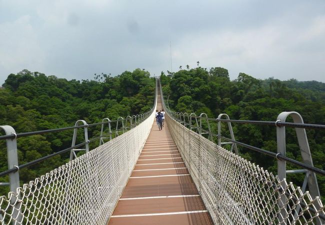 この吊り橋から見る自然の景色は素晴らしかった。灼熱の高雄を離れて、山頂の心地よい風は最高でした。