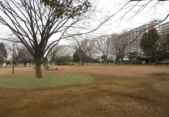 新小岩公園 クチコミ アクセス 営業時間 新小岩 小岩 フォートラベル
