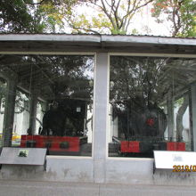 外の公園内にはSLも展示