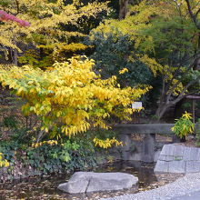 江戸川公園の中の石組み