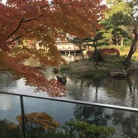 美しい日本庭園を望めるお部屋