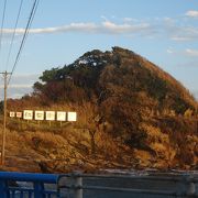 千葉県で一番広い島だそうです。