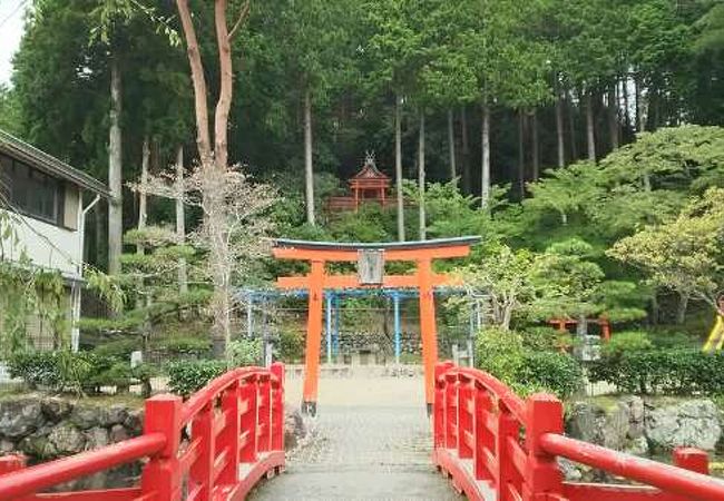 ほとんどは高野山の中心市街地の辺りに点在