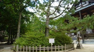 弟子と師の美しい物語