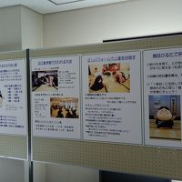 競技かるたについて軽い説明の展示がありました