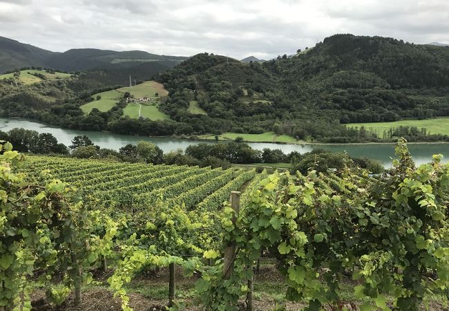 ボデガ カチーニャ