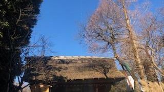 ここまで人がいっぱいでした