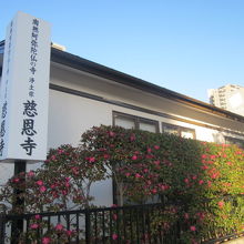 交差点まで来て、漸くお寺の標識を発見しました。でも本堂は？