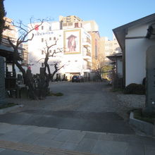 この角度で見て、お寺の境内だと判る方は相当の通です(^^;)