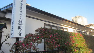 凄くこじんまりとしていて、逆に驚かされます