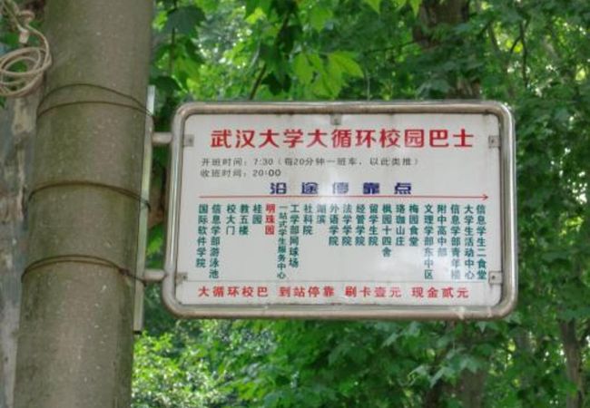 武漢大学