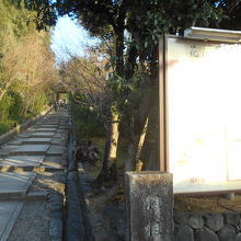 俗化されない西側参道は、品位がある。