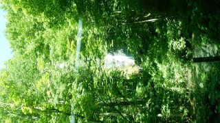 人目にするには……