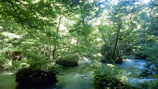 変わった景色だが