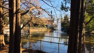 氷川神社に隣接していました