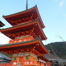 下から見上げると一段と美しい