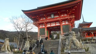 塗りたてではないところに歴史を感じる。狛犬も立派。