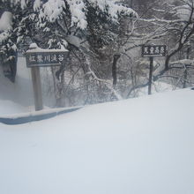 紅葉川渓谷への道標付近も、足跡は皆無でした…。