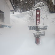 冬の朝は、雪景色を独り占めすることが出来ますが…