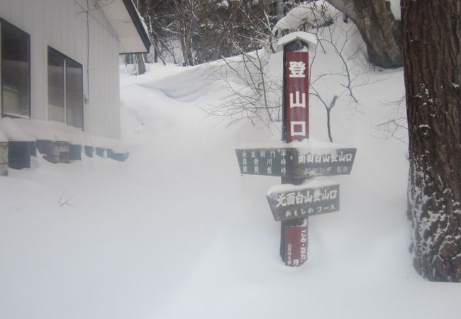 冬の朝は、雪景色を独り占めすることが出来ますが…