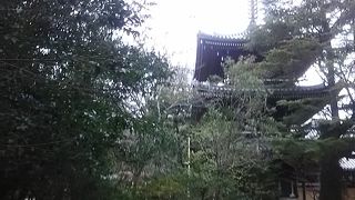 とても風情があるお寺