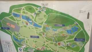 広大な新宿御苑！