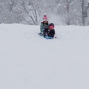 毎シーズン沢山行っています