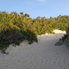 帰路も上り坂が待ち受ける