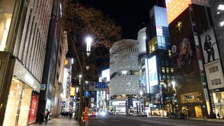 華やかさが増しました