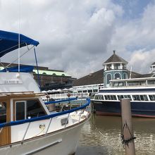 ポトマック川岸からいろいろな船が出ます。