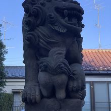 狛犬が可愛い By Kay 穏田神社のクチコミ フォートラベル