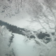 面白山高原傍のエリアは樹木に遮られてなかなかタイミングが困難