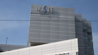 かなり大型です