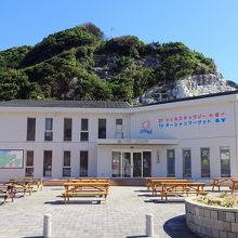 道の駅「白崎海洋公園」