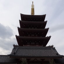 全部が収まりきらない…!!