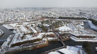 形がよくわかる（五稜郭タワー）