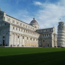 冬でも芝生が青々として綺麗